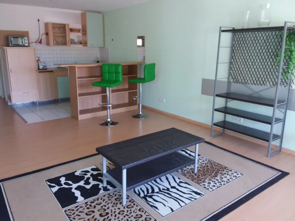 2 Zimmer Wohnung mit 45 m² in Waldshut-Tiengen – Bild 2