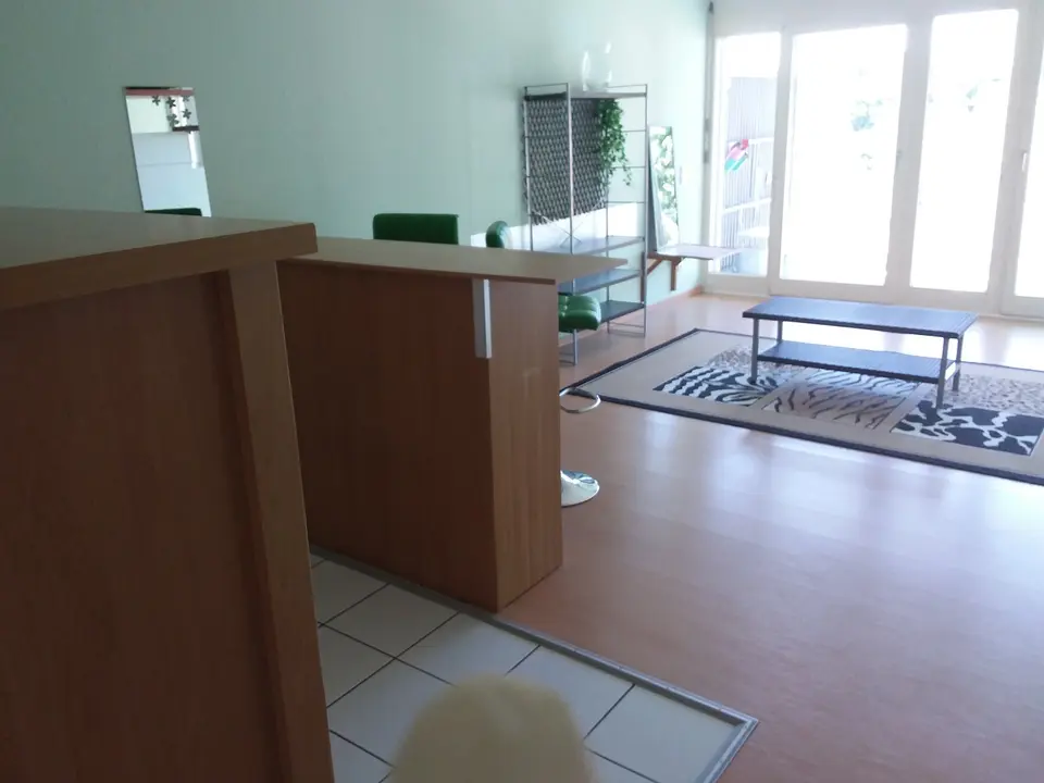 2 Zimmer Wohnung mit 45 m² in Waldshut-Tiengen – Bild 7