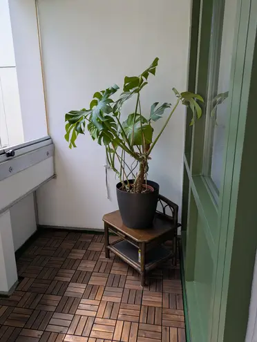 1 Zimmer Wohnung mit 31 m² in München – Bild 4