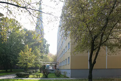 2 Zimmer Wohnung mit 24 m² in Dessau-Roßlau – Bild 4