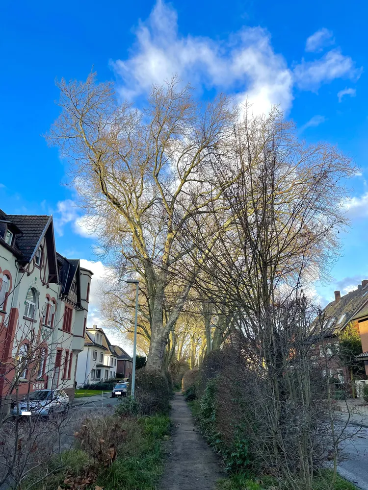 3 Zimmer Wohnung mit 88 m² in Herne – Bild 2