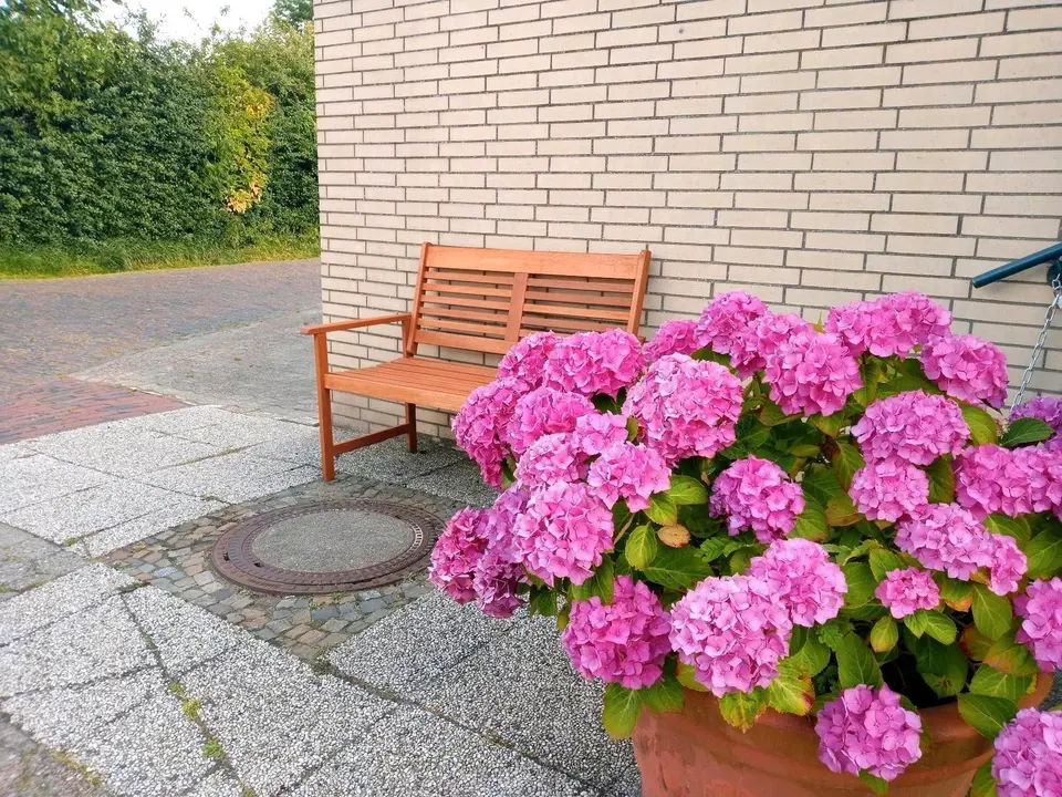 WG-Zimmer mit 38 m² in Cuxhaven – Bild 7