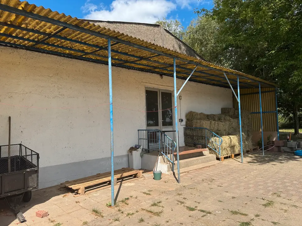 5 Zimmer Wohnung mit 160 m² in Neubrandenburg – Bild 4