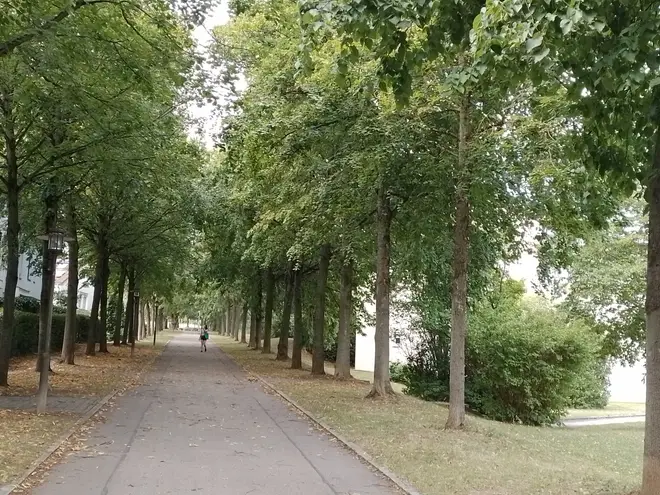 1 Zimmer Wohnung mit 18 m² in Regensburg – Bild 7