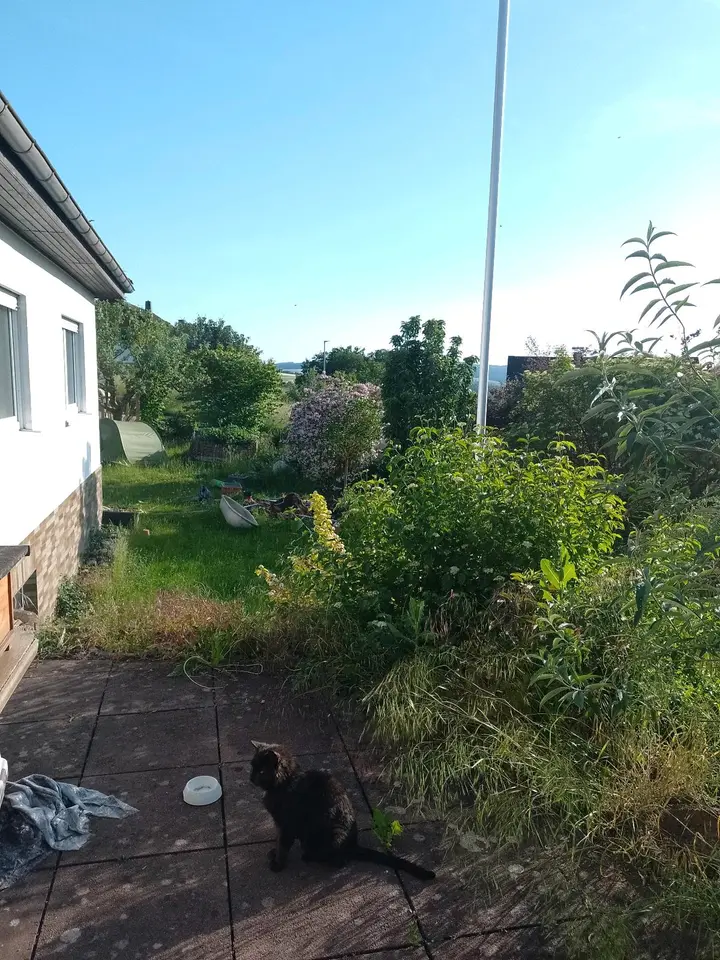 4 Zimmer Haus mit 90 m² in Koblenz – Bild 4