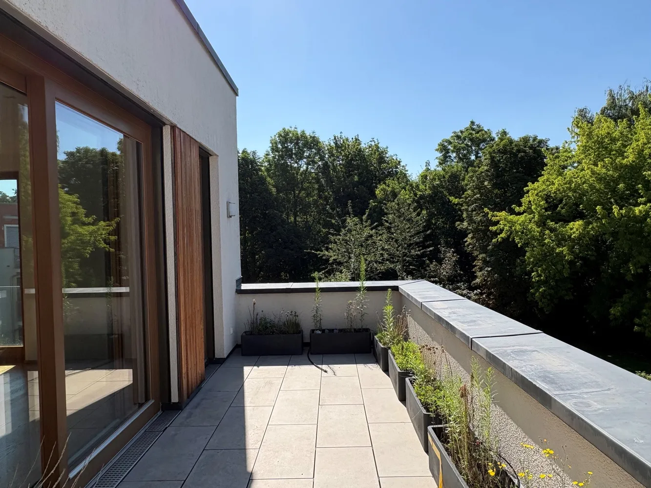 3 Zimmer Wohnung mit 102 m² in Dresden – Bild 1