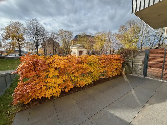 2 Zimmer Wohnung mit 76 m² in Leipzig – Bild 4