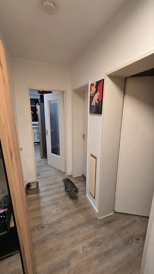 2 Zimmer Wohnung mit 52 m² in Lübeck – Bild 4