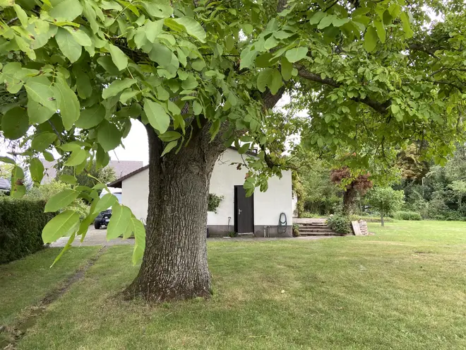 8 Zimmer Haus mit 180 m² in Nürnberg – Bild 11