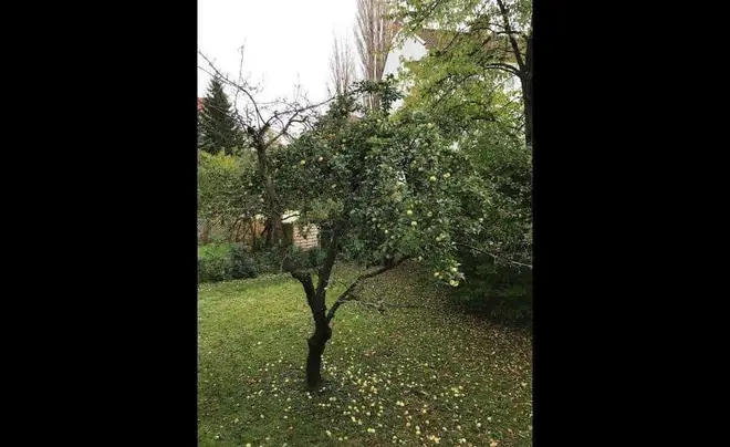 WG-Zimmer mit 16 m² in Berlin – Bild 3