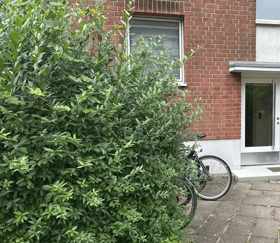 WG-Zimmer mit 18 m² in Hamburg – Bild 2