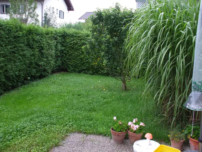 6 Zimmer Haus mit 145 m² in Rosenheim – Bild 4