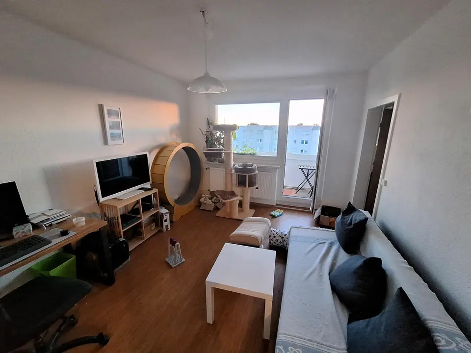 2 Zimmer Wohnung mit 46 m² in Greifswald – Bild 1