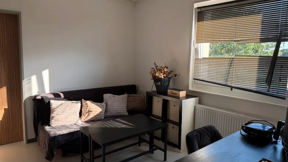 WG-Zimmer mit 20 m² in Greven – Bild 1