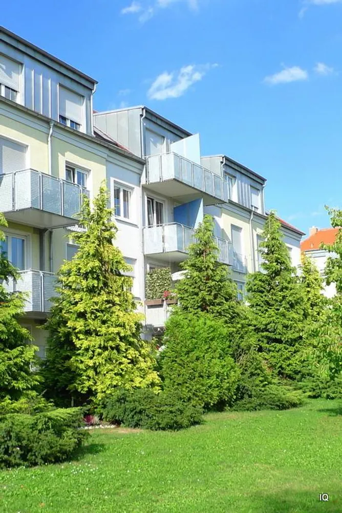 2 Zimmer Wohnung mit 55 m² in Dresden – Bild 1