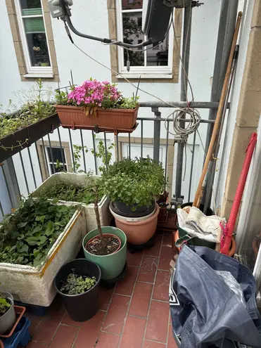 3 Zimmer Wohnung mit 75 m² in Dresden – Bild 4
