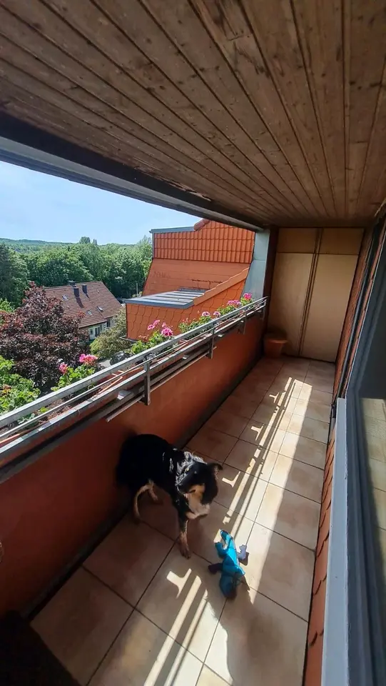 3 Zimmer Wohnung mit 77 m² in Osnabrück – Bild 1