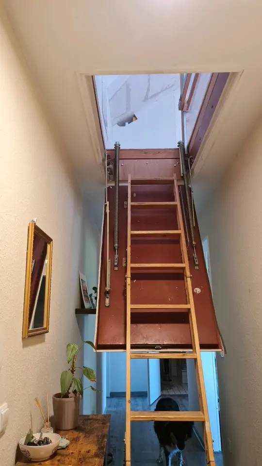3 Zimmer Wohnung mit 77 m² in Osnabrück – Bild 5