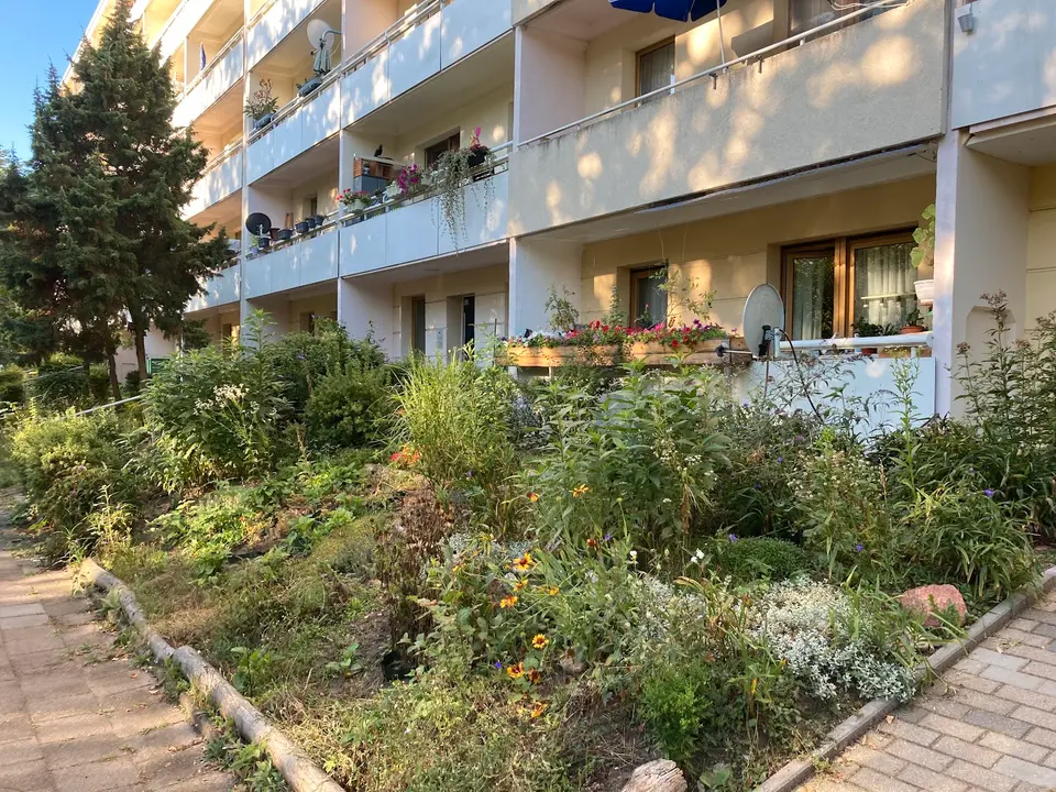2 Zimmer Wohnung mit 51 m² in Eberswalde – Bild 1