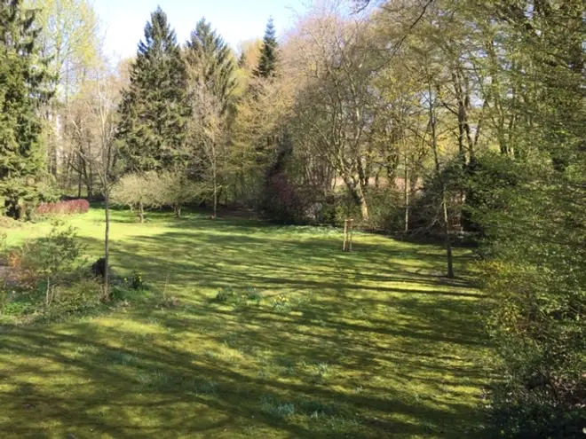 3 Zimmer Wohnung mit 75 m² in Kiel – Bild 3