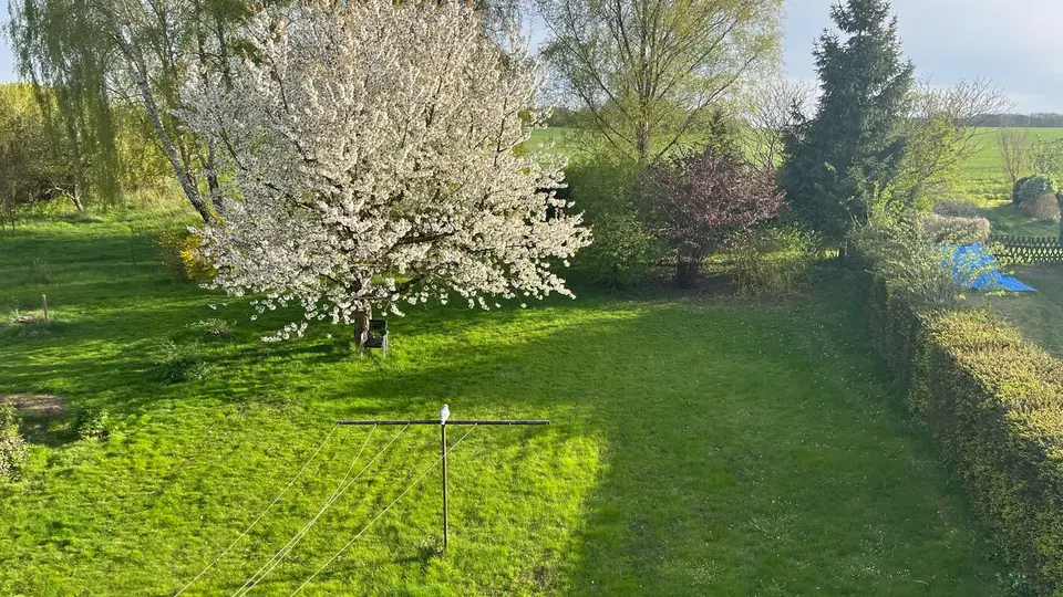 5 Zimmer Haus mit 105 m² in Schwerin – Bild 4