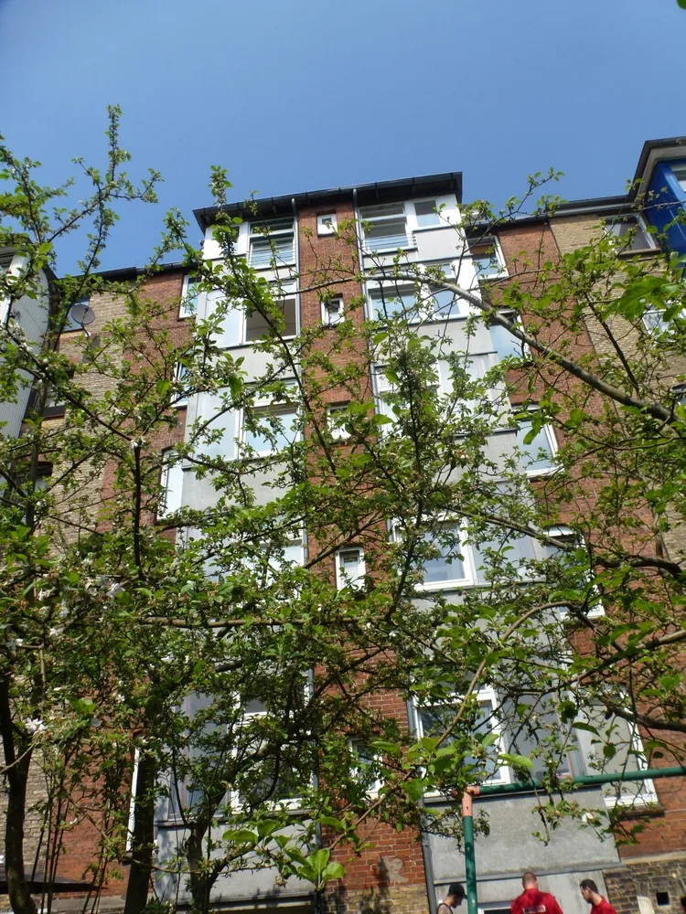 2 Zimmer Wohnung mit 50 m² in Kiel – Bild 1