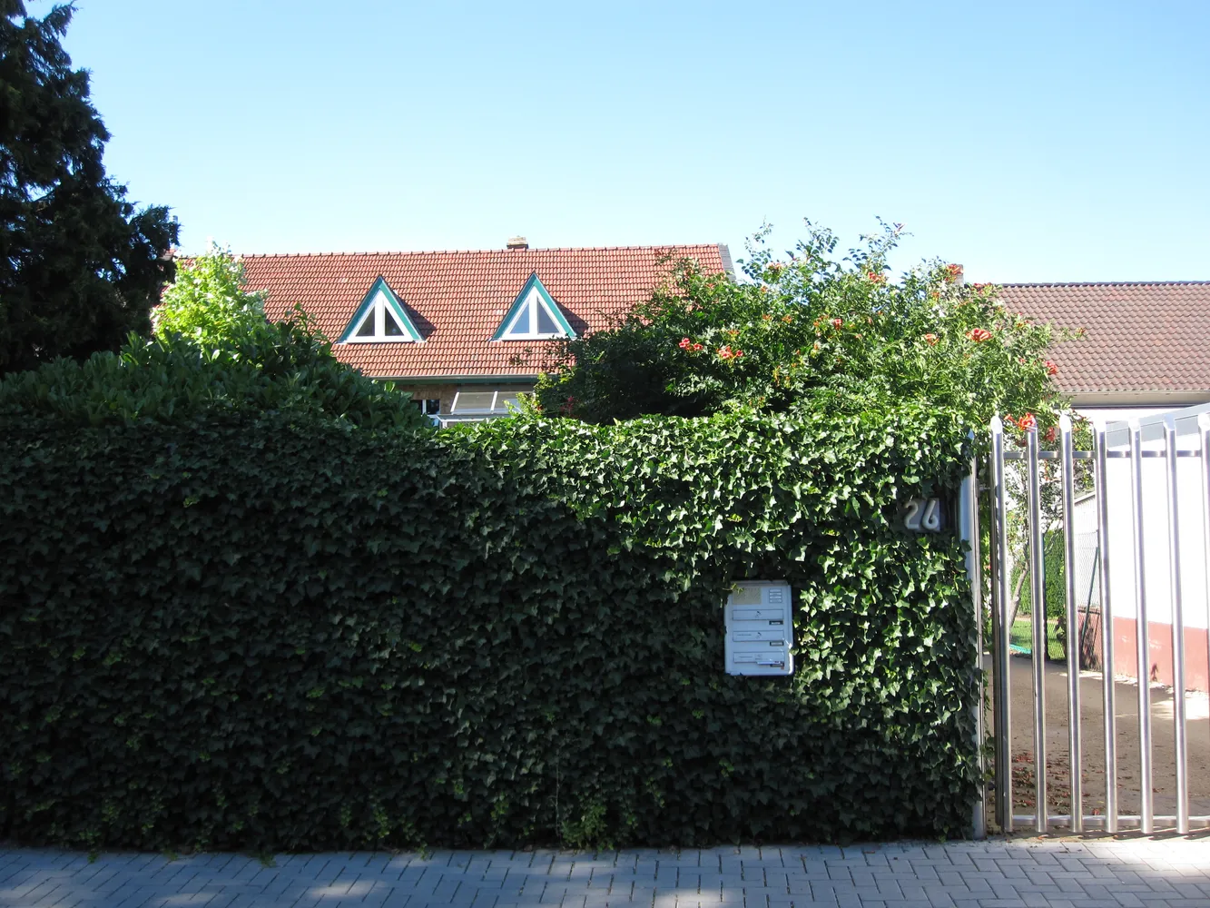 3 Zimmer Wohnung mit 130 m² in Worms – Bild 1