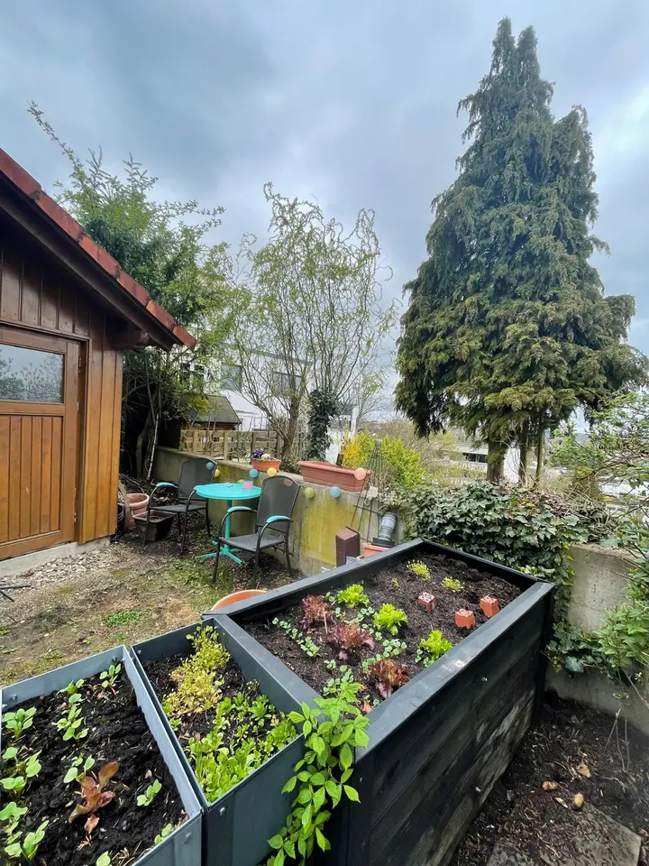 WG-Zimmer mit 120 m² in Bamberg – Bild 4