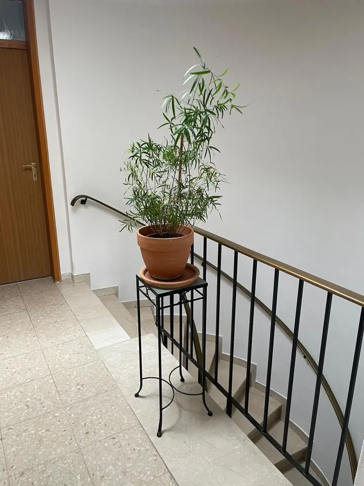 WG-Zimmer mit 120 m² in Bamberg – Bild 8