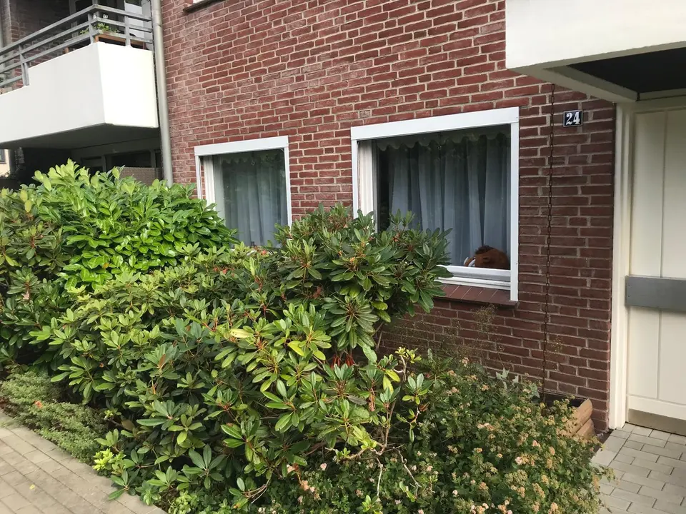 3 Zimmer Wohnung mit 110 m² in Flensburg – Bild 3