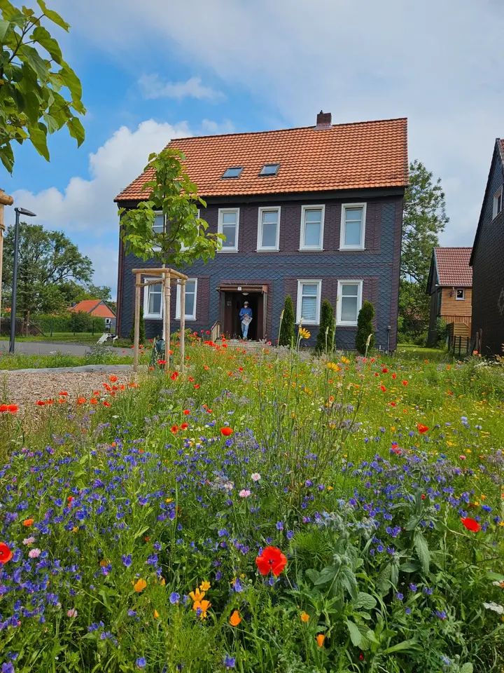 2 Zimmer Wohnung mit 60 m² in Goslar – Bild 1