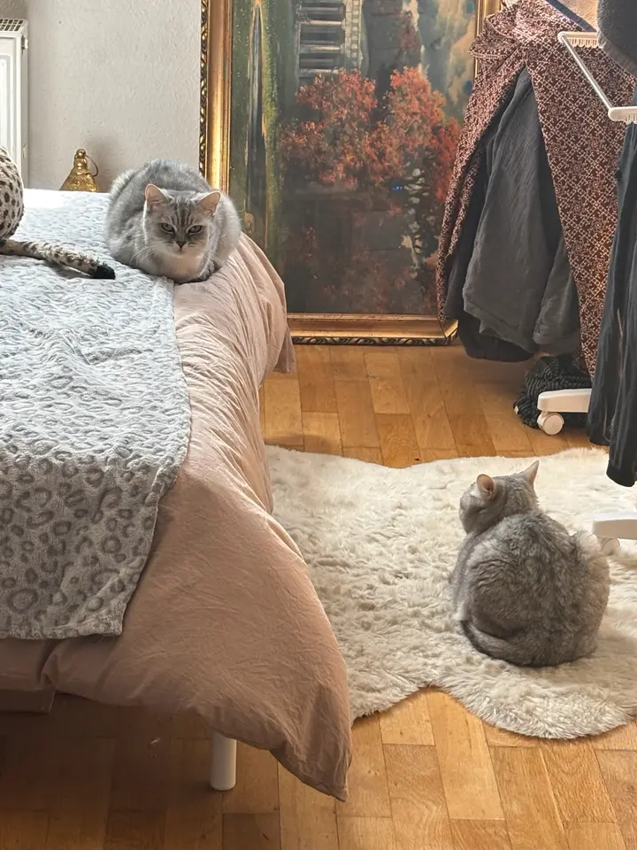 WG-Zimmer mit 9 m² in Leipzig – Bild 8