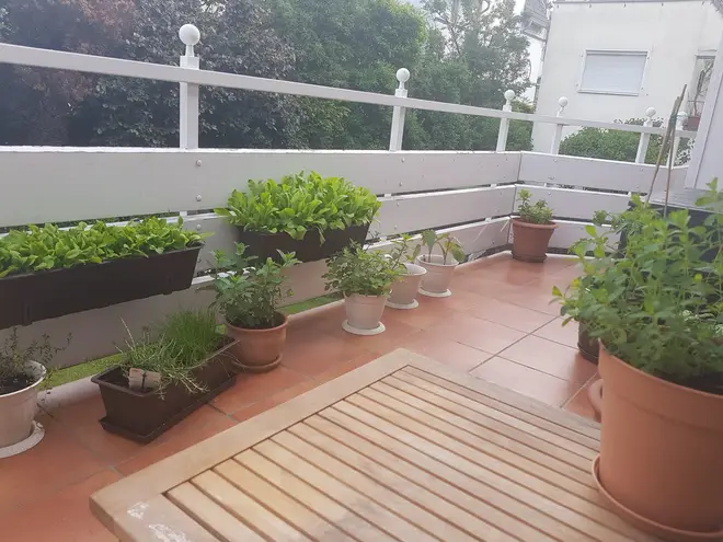 1 Zimmer Wohnung mit 41 m² in Bonn – Bild 9