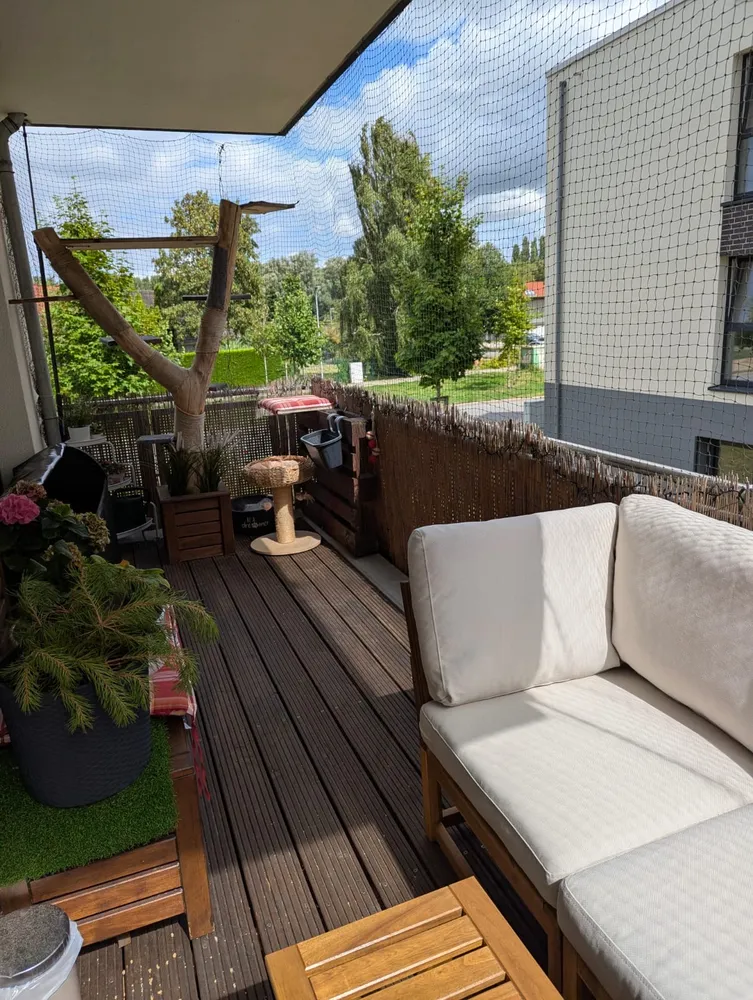 3 Zimmer Wohnung mit 81 m² in Rostock – Bild 1