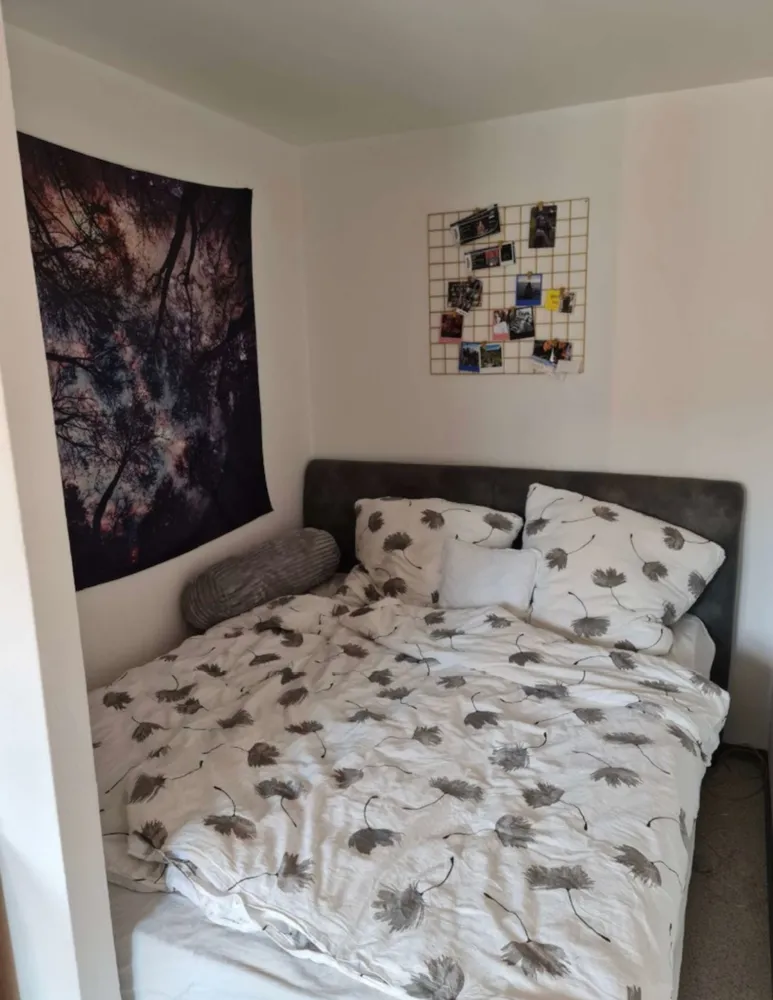 2 Zimmer Wohnung mit 28 m² in Bayreuth – Bild 3