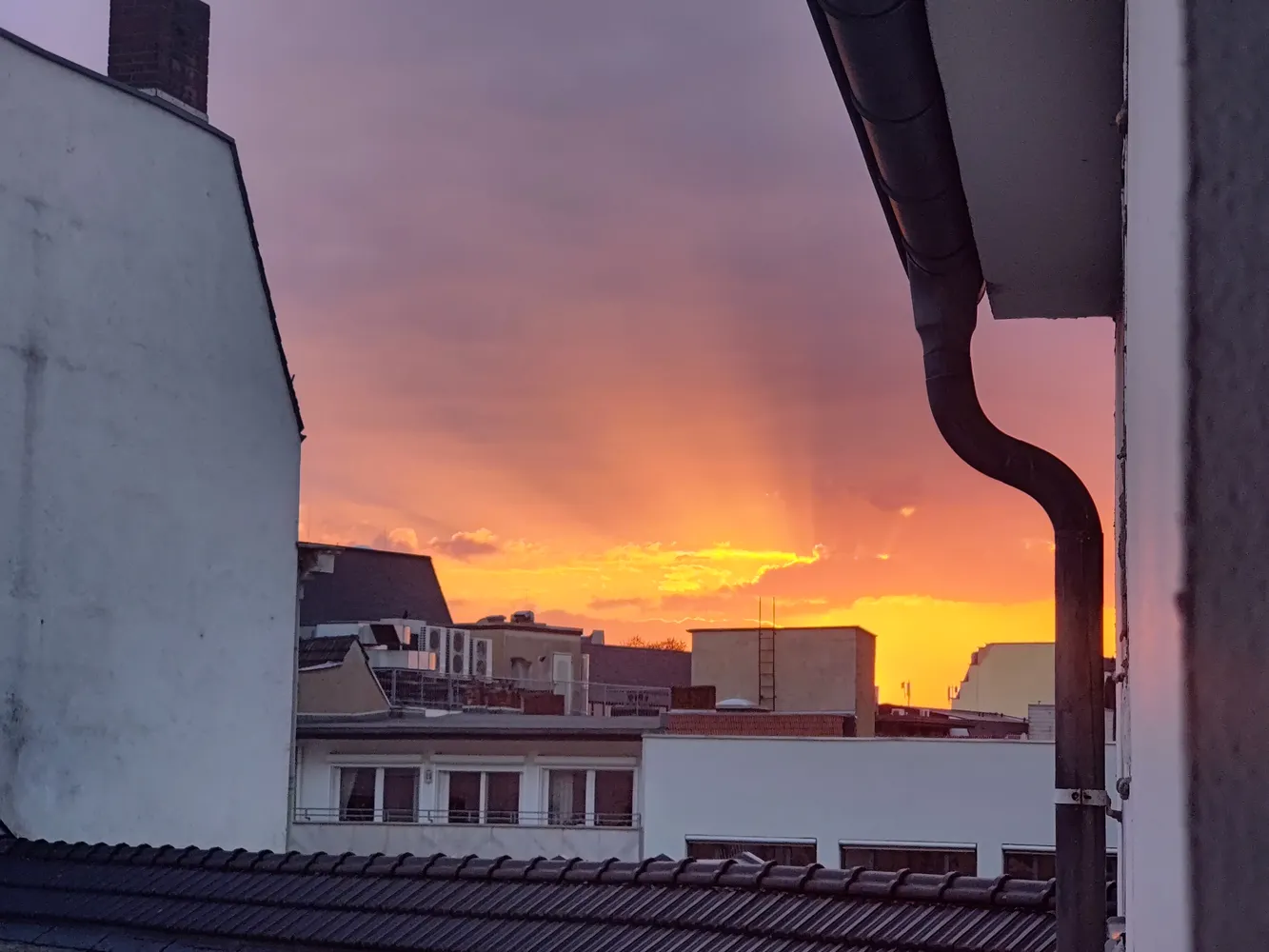 1 Zimmer Wohnung mit 30 m² in Bonn – Bild 3