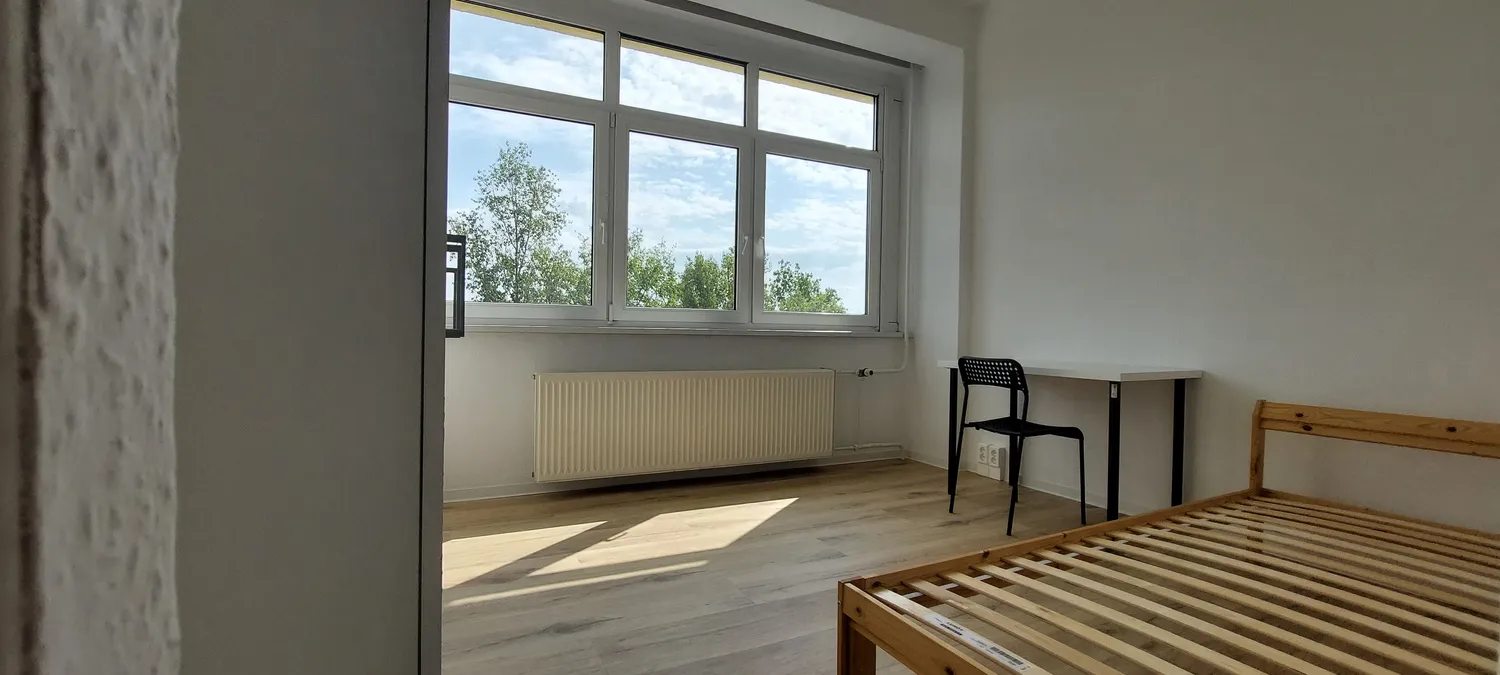 2 Zimmer Wohnung mit 50 m² in Brandenburg an der Havel – Bild 3