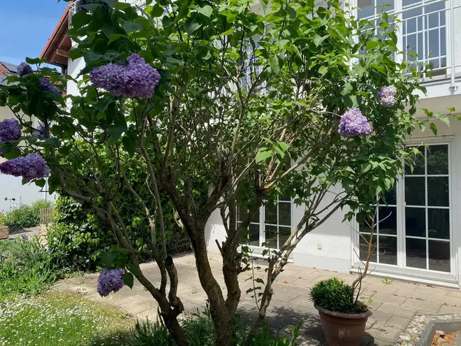 5 Zimmer Haus mit 174 m² in München – Bild 3