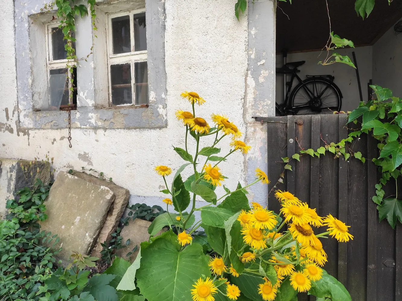 2 Zimmer Wohnung mit 66 m² in Dresden – Bild 6