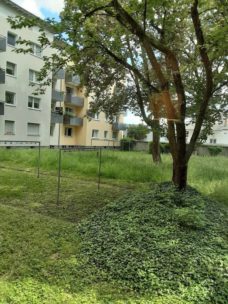 3 Zimmer Wohnung mit 73 m² in Frankfurt am Main – Bild 7