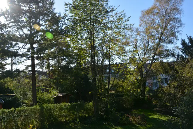 3 Zimmer Wohnung mit 100 m² in Mülheim an der Ruhr – Bild 9