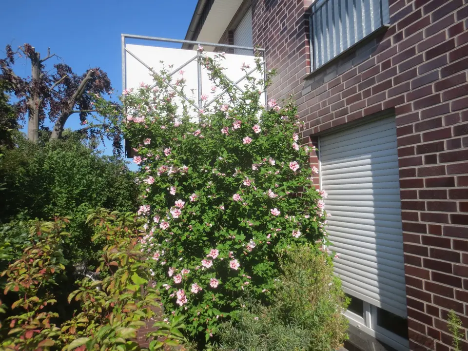 4 Zimmer Wohnung mit 76 m² in Gütersloh – Bild 8