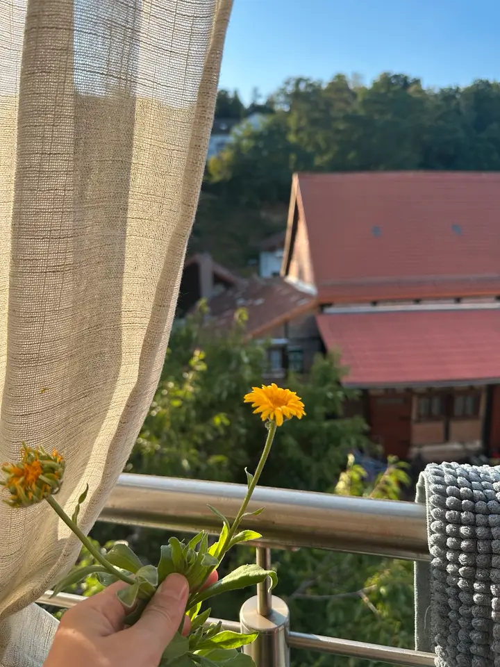 WG-Zimmer mit 50 m² in Marburg – Bild 4