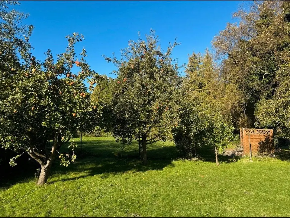5 Zimmer Haus mit 124 m² in Lübeck – Bild 3