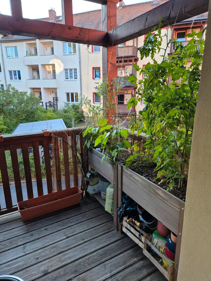 WG-Zimmer mit 54 m² in Eberswalde – Bild 3