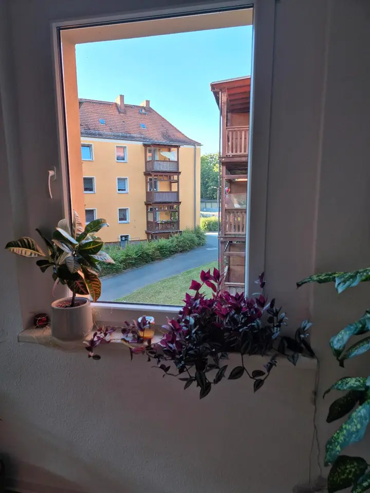 WG-Zimmer mit 54 m² in Eberswalde – Bild 5