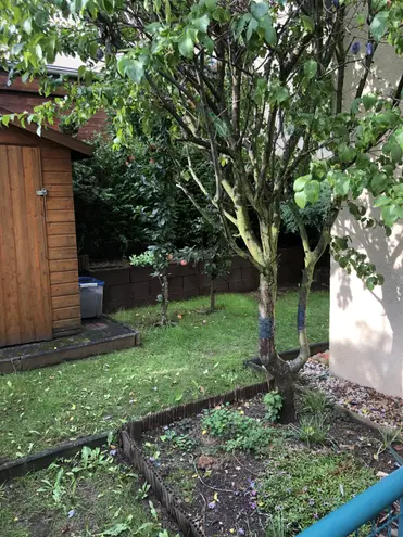 5 Zimmer Haus mit 129 m² in Dresden – Bild 3