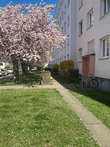 3 Zimmer Wohnung mit 57 m² in Dresden – Bild 3
