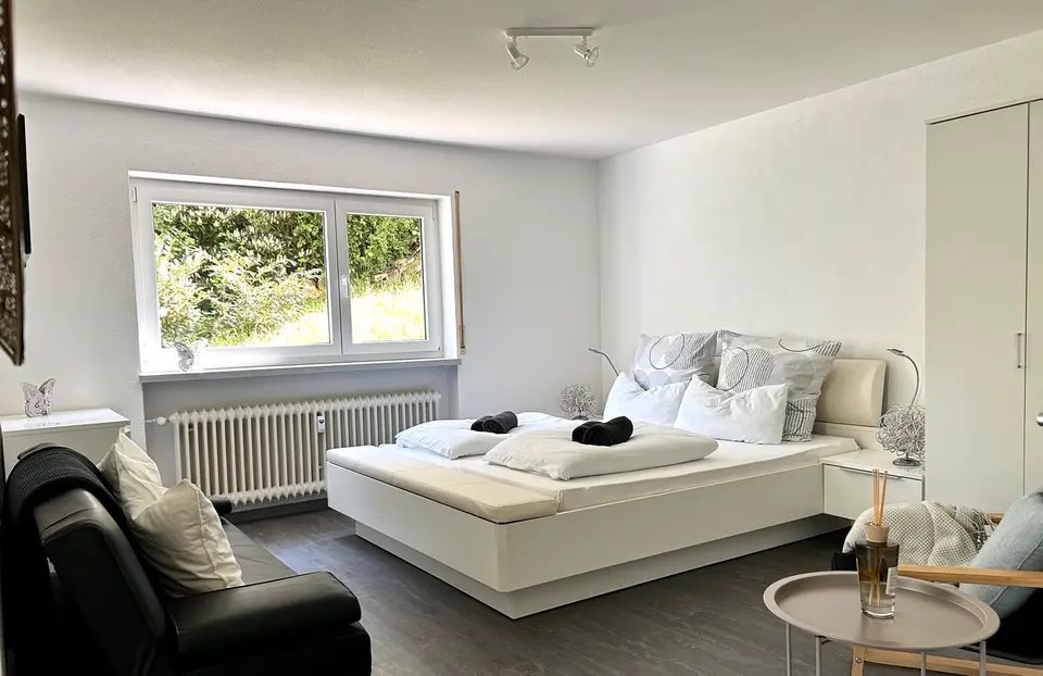 2 Zimmer Wohnung mit 43 m² in Waldshut-Tiengen – Bild 1