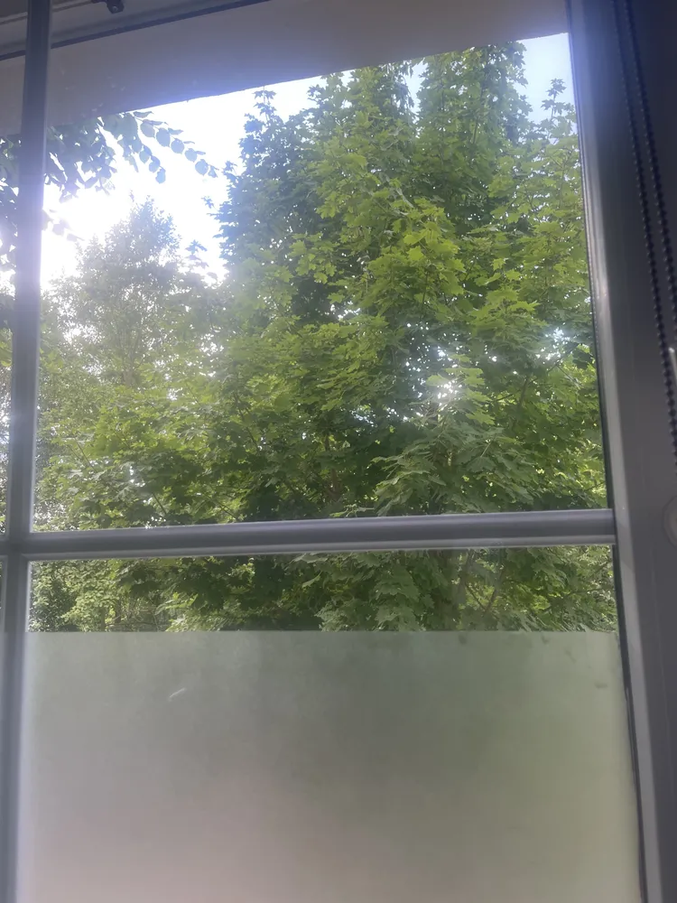 4 Zimmer Wohnung mit 90 m² in Cottbus – Bild 1